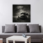 Sarolta Ban Canvas Print // #68 (18"W x 18H" x 0.75"D)