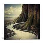 Sarolta Ban Canvas Print // #67