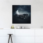 Sarolta Ban Canvas Print // #54 (18"W x 18H" x 0.75"D)