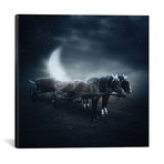 Sarolta Ban Canvas Print // #54 (18"W x 18H" x 0.75"D)