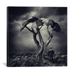 Sarolta Ban Canvas Print // #52 (18"W x 18H" x 0.75"D)