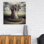 Sarolta Ban Canvas Print // #51 (18"W x 18H" x 0.75"D)