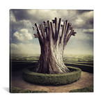 Sarolta Ban Canvas Print // #51 (18"W x 18H" x 0.75"D)