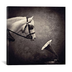 Sarolta Ban Canvas Print // #45 (18"W x 18H" x 0.75"D)