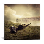 Sarolta Ban Canvas Print // #36 (18"W x 18H" x 0.75"D)