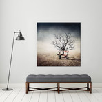 Sarolta Ban Canvas Print // #29 (18"W x 18H" x 0.75"D)