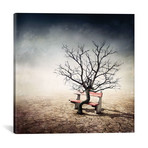 Sarolta Ban Canvas Print // #29 (18"W x 18H" x 0.75"D)