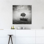 Sarolta Ban Canvas Print // #27 (18"W x 18H" x 0.75"D)