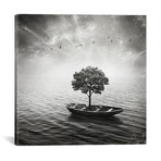 Sarolta Ban Canvas Print // #27 (18"W x 18H" x 0.75"D)