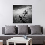 Sarolta Ban Canvas Print // #22 (18"W x 18H" x 0.75"D)