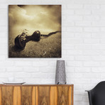 Sarolta Ban Canvas Print // #20 (18"W x 18H" x 0.75"D)