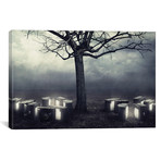 Sarolta Ban Canvas Print // #09 (26"W x 18H" x 0.75"D)