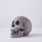 Ceramic Human Skull (Single)