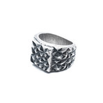 Makalu Taku Ring (21)