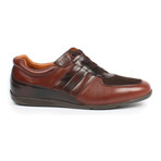 Porchs Lace-up Sneakers // Brown (US: 12)