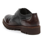 Capo Light Wing-Tip Brogue Oxfords // Black + Brown (US: 11)