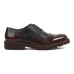 Capo Light Wing-Tip Brogue Oxfords // Black + Brown (US: 11)