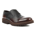 Capo Light Wing-Tip Brogue Oxfords // Black + Brown (US: 11)