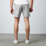 Sweatshirt Shorts // Medium Grey Melange (XS)