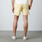 Cavrin Shorts // Mellow Yellow (28)