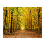 Autumn Leaves Wall Mural