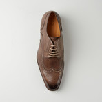 Medallion Wing-Tip Derby // Coffee Brown (Euro: 39.5)