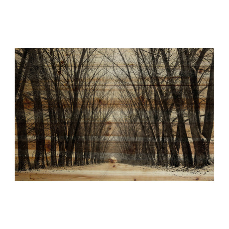 Giant Tree Lane Painting Print // Natural Pine Wood (18"W x 12"H x 1.5"D)