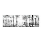 Bright White Forest // White Wood (30"W x 10"H x 1.5"D)