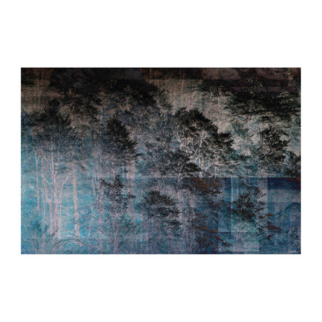 Tall Trees in the Night // Canvas (18"W x 12"H x 1.5"D)