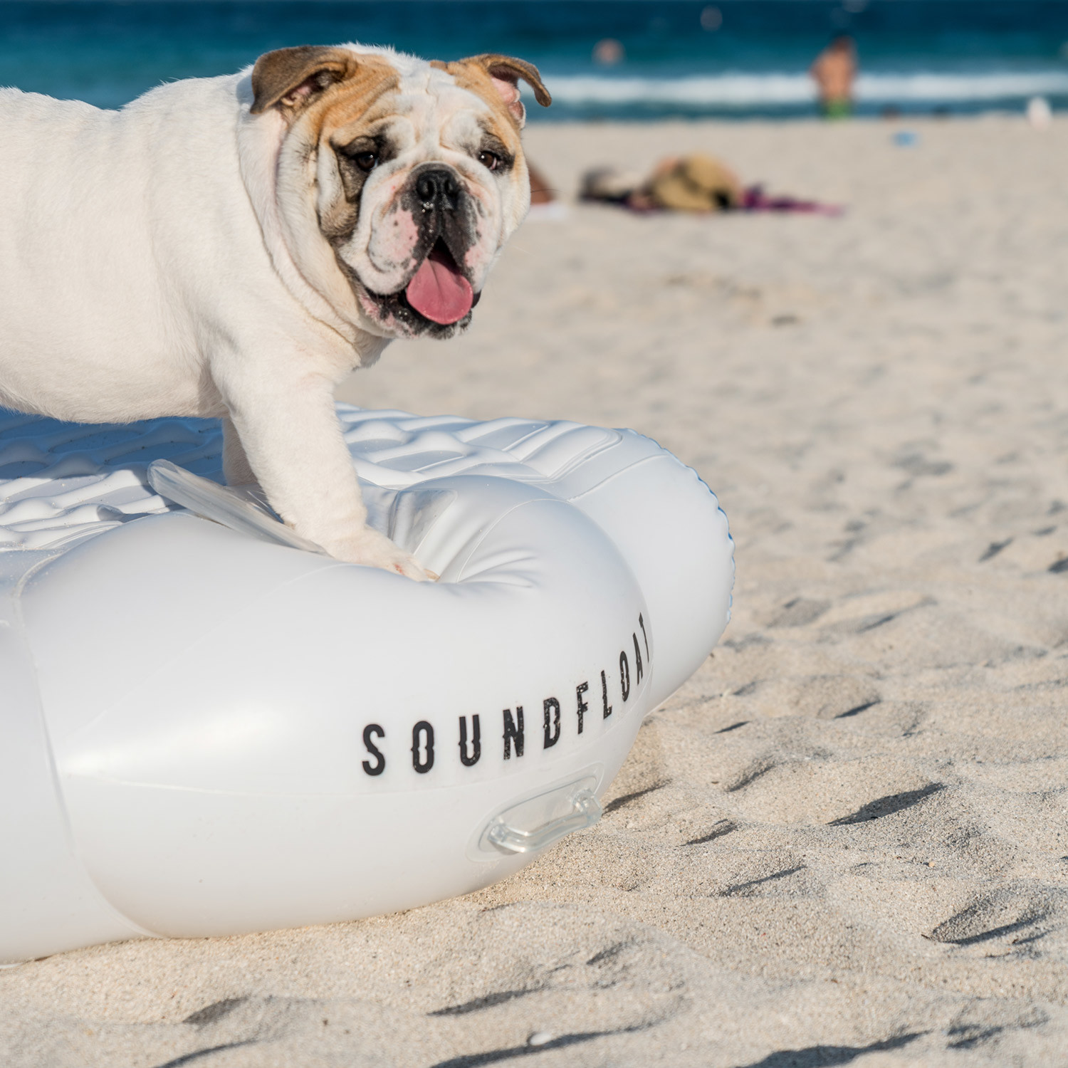 soundfloat luxury air lounge