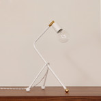 Tripod Desk Lamp (Tonopah + Brass Socket)
