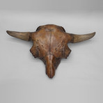 Bison Antiqus Skull + Stand