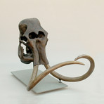Woolly Mammoth Skull + Stand