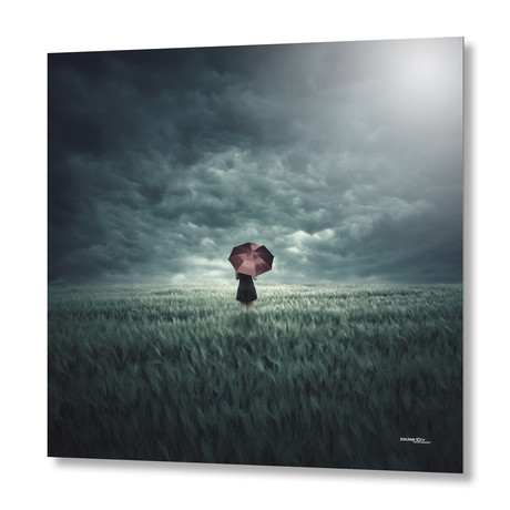 Storm is Coming // Aluminum Print (16"W x 16"H x 1.5"D // Stretched Canvas)