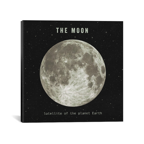 The Moon (18"W x 18"H x 0.75"D)