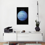 Neptune I (18"W x 26"H x 0.75"D)