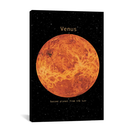 Venus (18"W x 26"H x 0.75"D)
