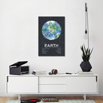 Earth (18"W x 26"H x 0.75"D)