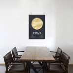 Venus I (18"W x 26"H x 0.75"D)