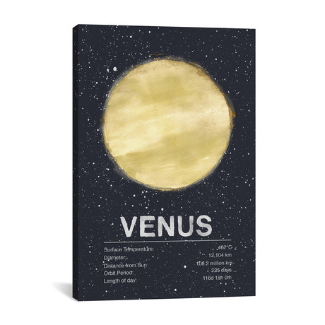 Venus I (18"W x 26"H x 0.75"D)
