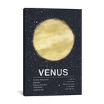 Venus I (18"W x 26"H x 0.75"D)