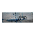 Lone Stallion Eats II Painting Print // Canvas (30"W x 10"H x 1.5"D)