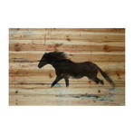 Trotting Black Horse Painting Print // Natural Pine Wood (18"W x 12"H x 1.5"D)