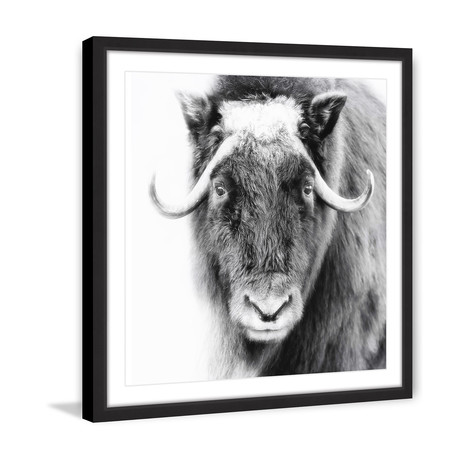 I See You Framed Painting Print (12"W x 12"H x 1.5"D)