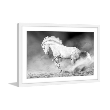 Majestic White Gallop Framed Painting Print (18"W x 12"H x 1.5"D)