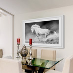 Majestic White Gallop Framed Painting Print (18"W x 12"H x 1.5"D)