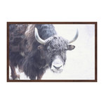 Scruffy Beast Framed Painting Print (18"W x 12"H x 1.5"D)