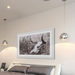 Past Skull Framed Painting Print (18"W x 12"H x 1.5"D)