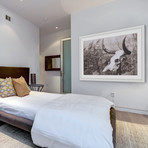 Past Skull Framed Painting Print (18"W x 12"H x 1.5"D)