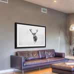 The Lone Buck Framed Painting Print (18"W x 12"H x 1.5"D)